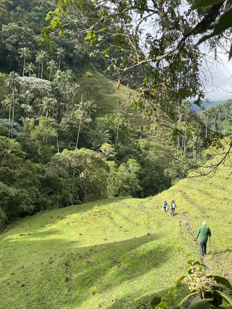 ホテル Sazagua Cocora Reserva Natural サレント エクステリア 写真